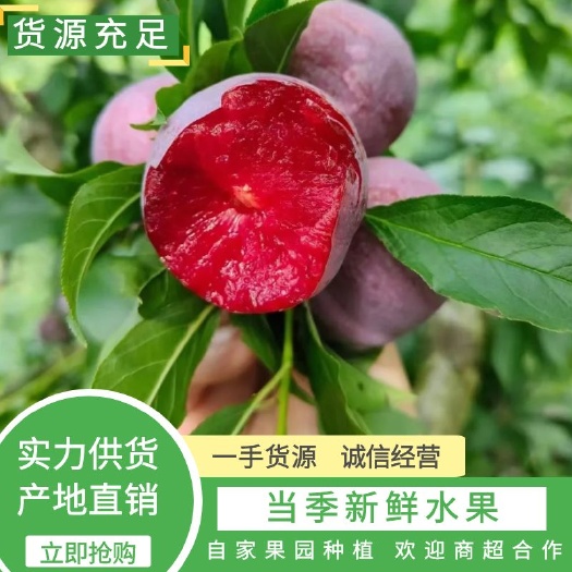 现货速发2025年广东钱排银妃三华李 红心三华李  孕妇李子