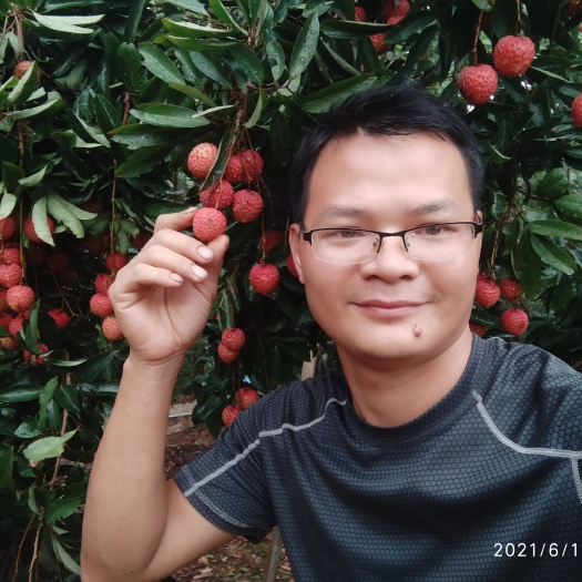 高州市2025荔枝预售招代理。果农直发，种植户荔枝新鲜荔枝一手货源