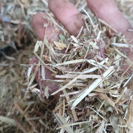 正阳县花生秧正在加工，货不太多了，有需要的抓紧联系