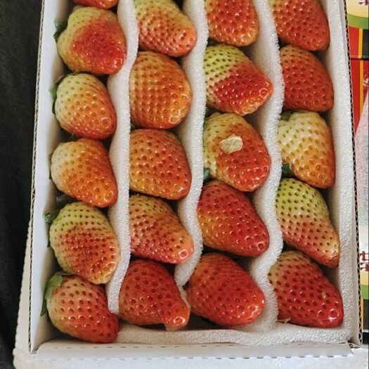 昭觉县蒙特瑞