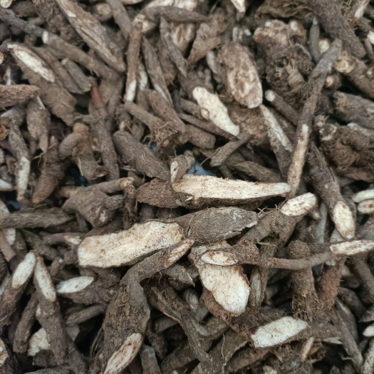 鄂尔多斯黑柴胡内蒙古天然黑柴胡