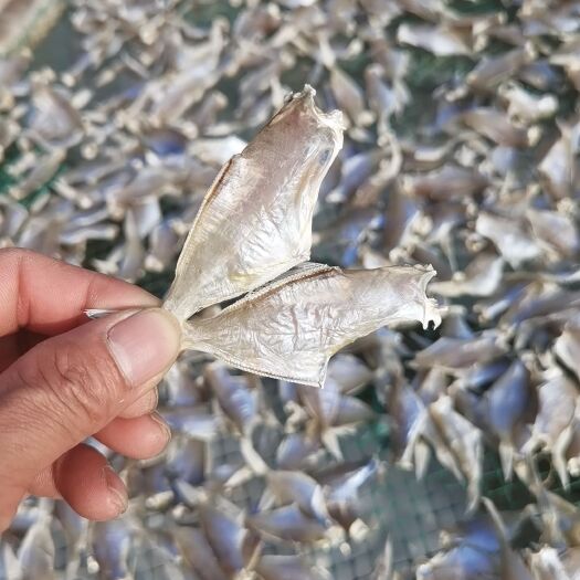 北海淡干马面鱼  剥皮鱼  洋仔  迪仔鱼干 小鱼干