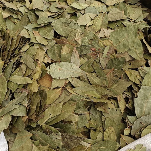 玉林调料煲汤卤料配料香叶可批发可零售量大从优