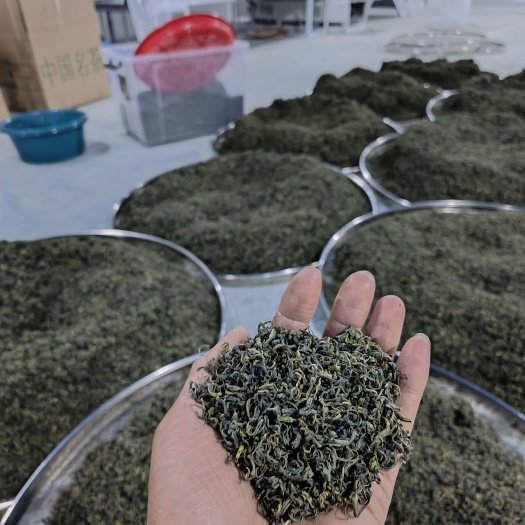 三江县绿茶