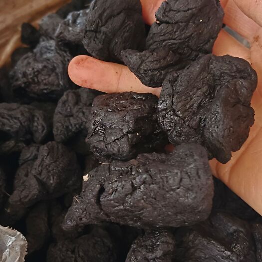 玉林熟地片，生地，中药材熟地