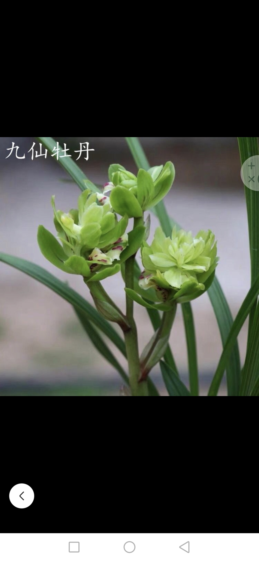 宏?；ɑ? class=