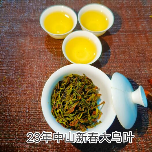 潮州凤凰单丛茶大乌叶