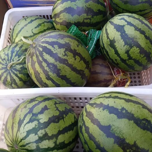 邯郸西瓜