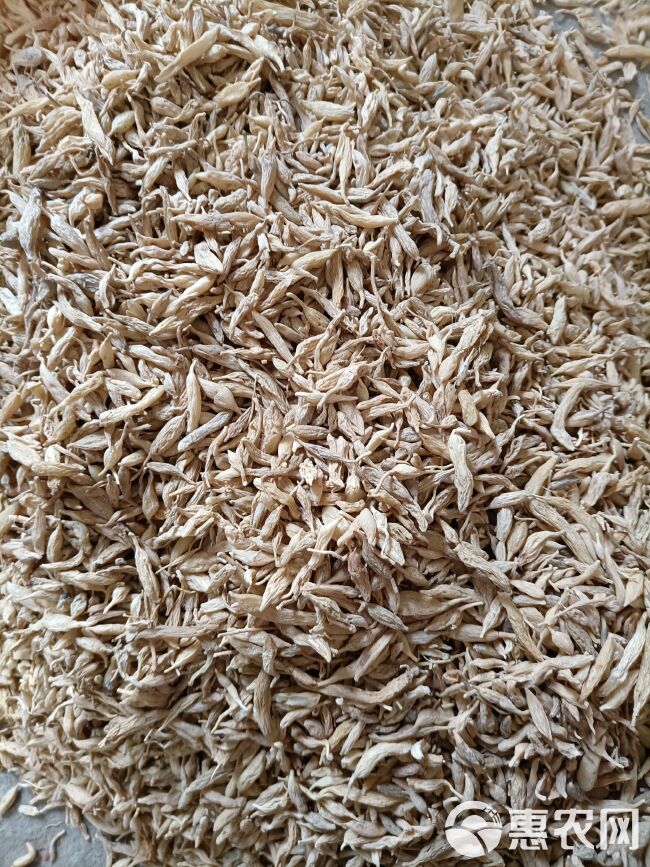 麦冬  自然生长，无硫生晒药性足，气味香浓 药食同用。