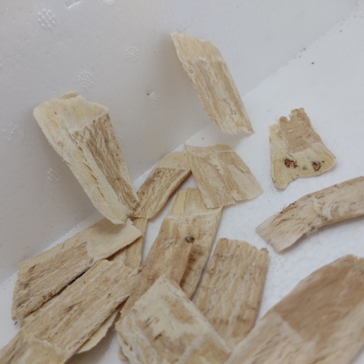 黄芪鲜压片。大片甘肃岷县黄芪片