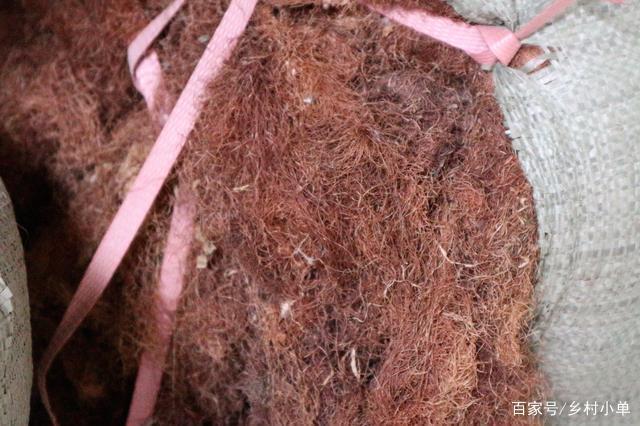 寿光市玉米须玉米芯