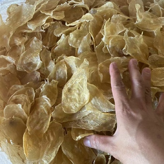 广州泰国鸡蛋胶，足干无油，不苦，肉质非常好，没有腥，一手货源花胶