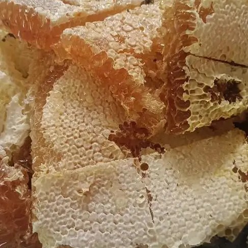 野生蜂蜜