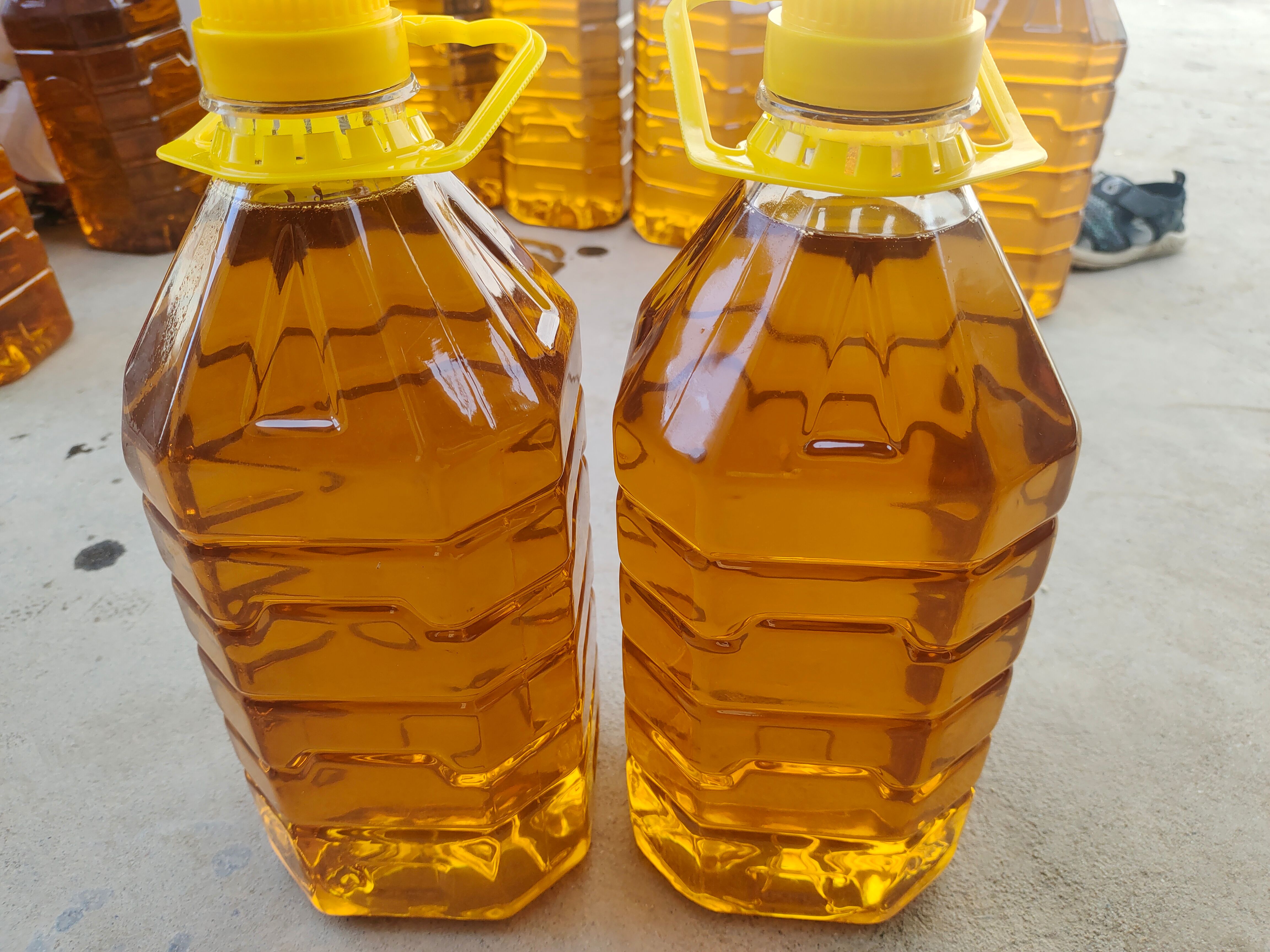 核桃油 新疆核桃仁 新疆核桃油     鲜榨核桃油 大量有货