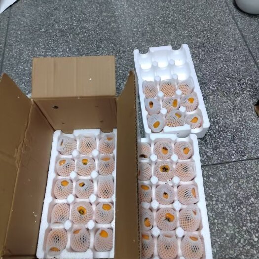绵阳仙海铜瓦大五星枇杷