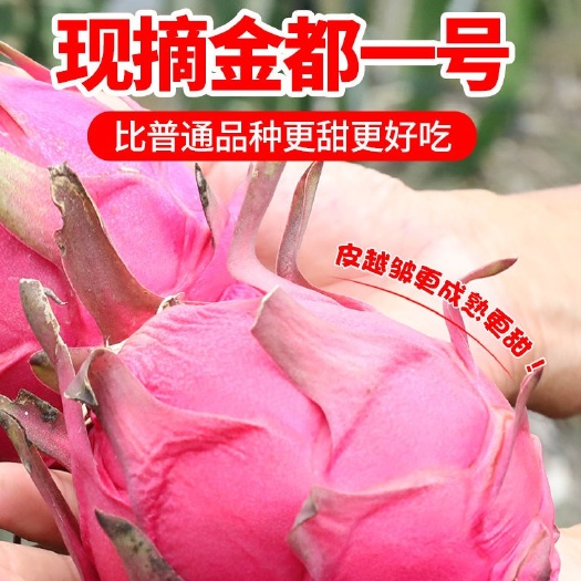 上林县红心火龙果金都一号超甜新鲜水果整箱批发价【单果350克起】