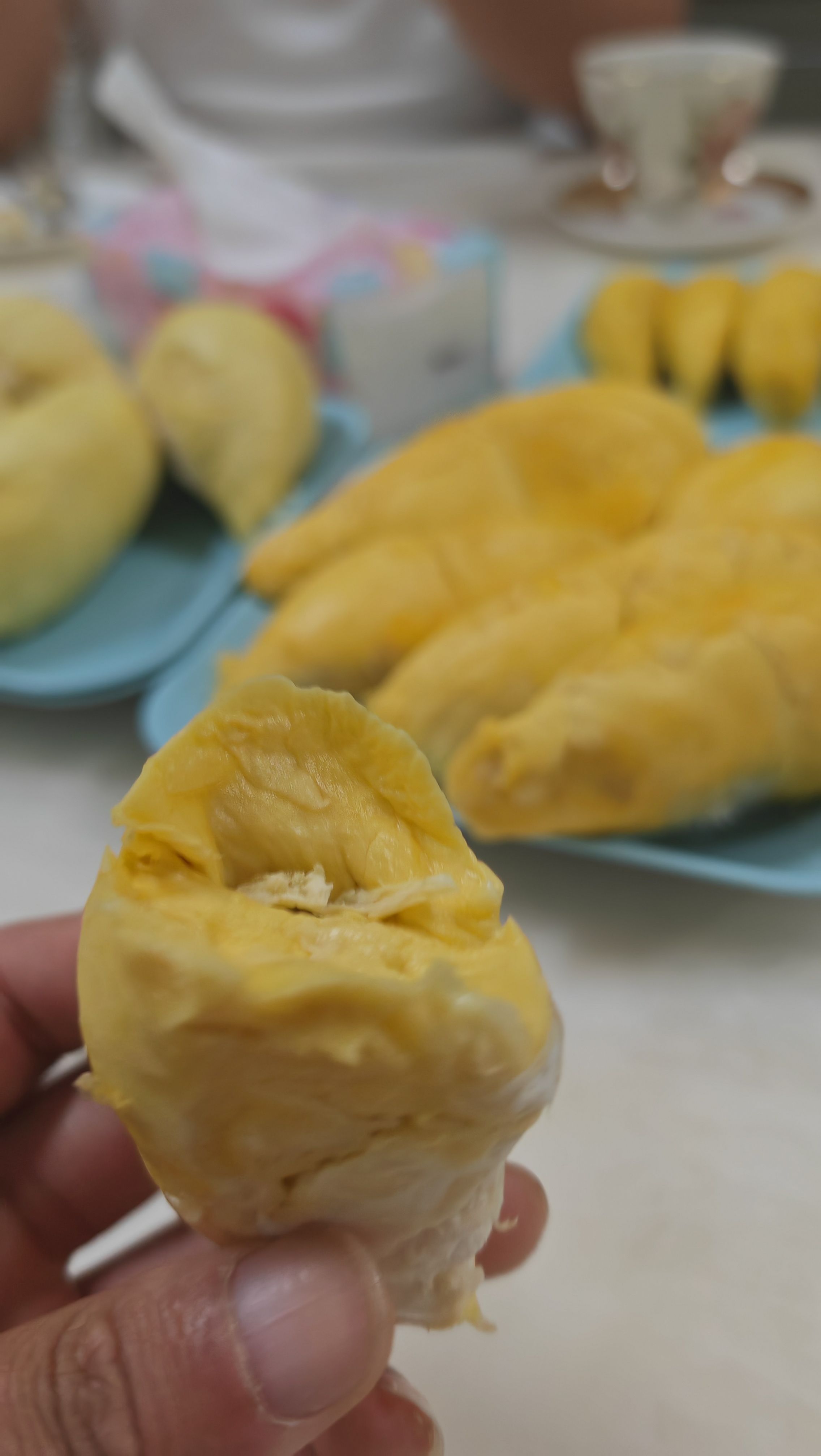 金枕榴莲