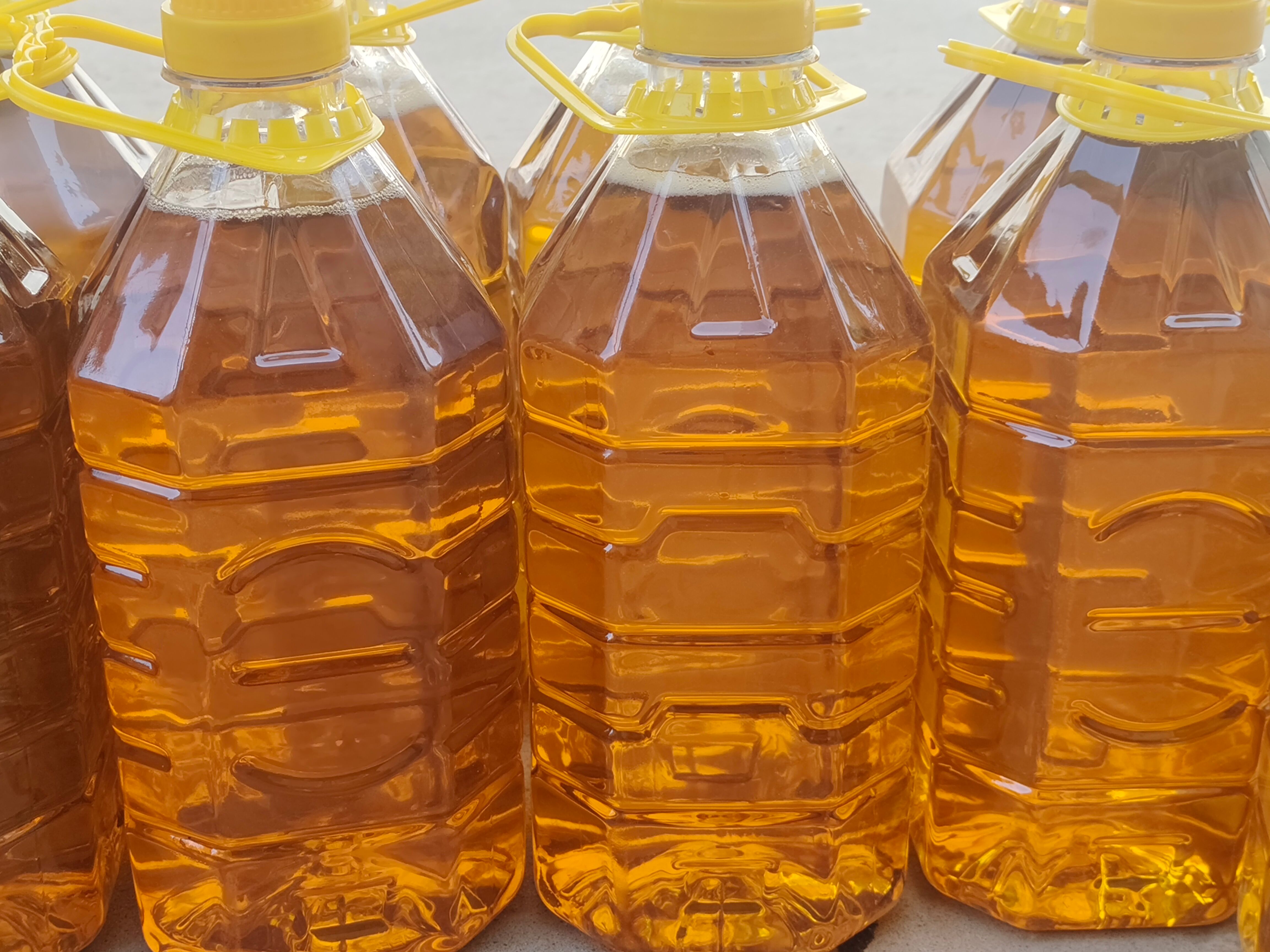 核桃油 新疆核桃仁 新疆核桃油     鲜榨核桃油 大量有货