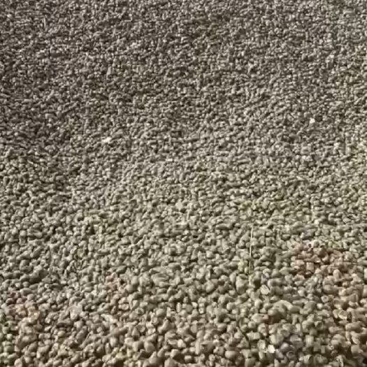 南昌县江西石螺