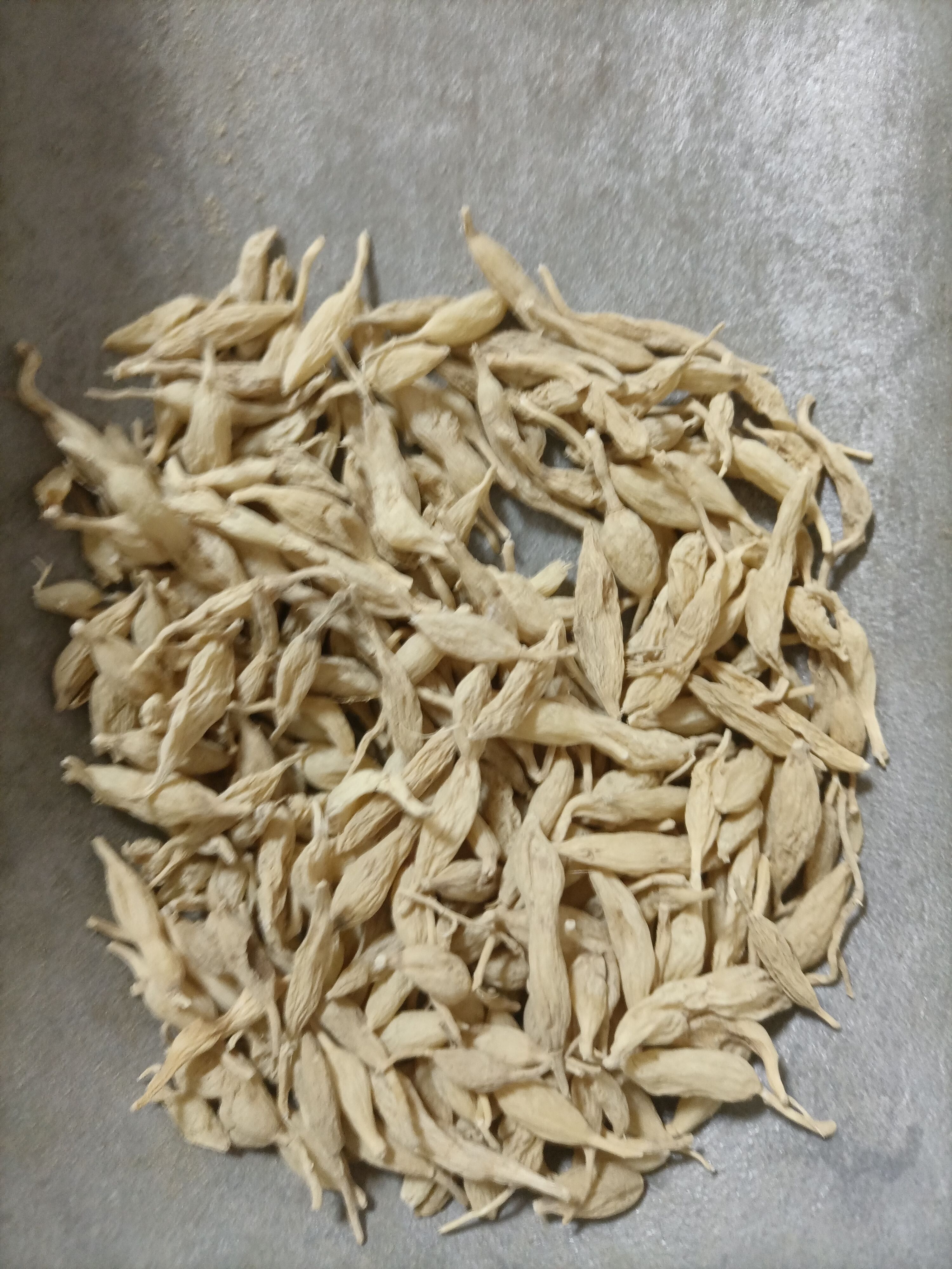 嘢生麦冬  自然生长,生晒无硫药性足,气味香浓 药食同用。