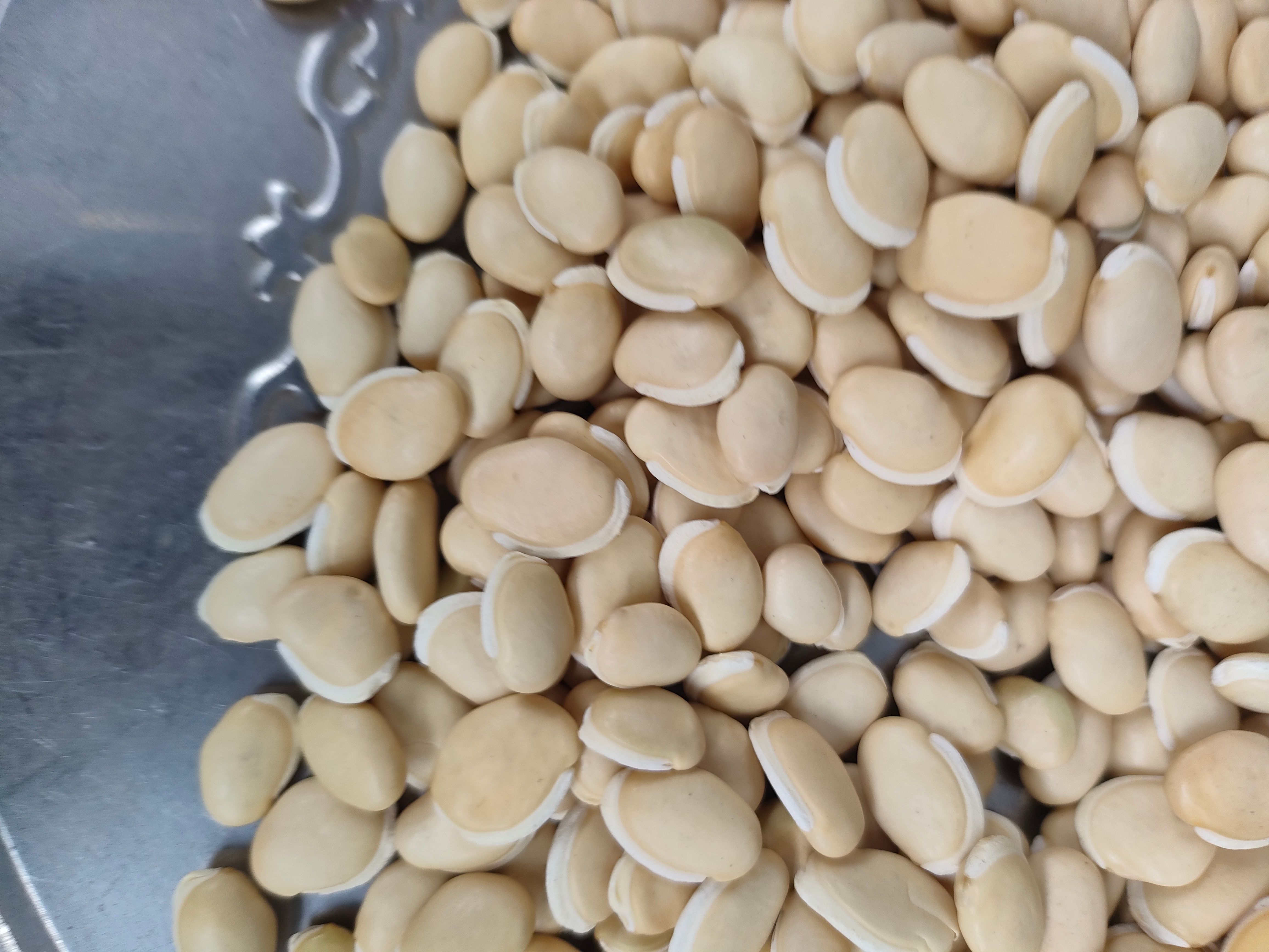 白扁豆，干扁豆，干白扁豆，藊豆、白藊豆、南扁豆