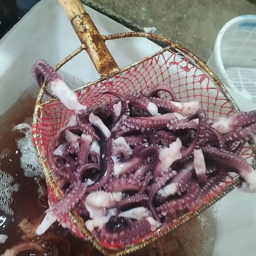 荣成市脆口须