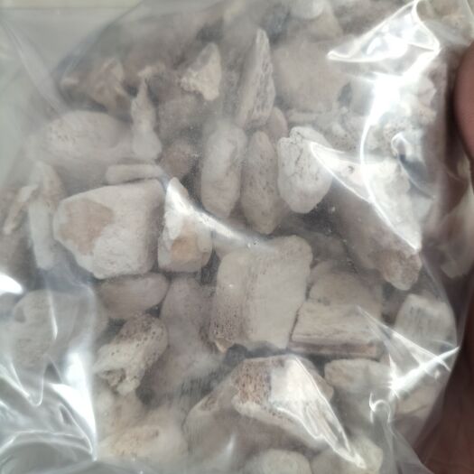 亳州煅龙骨