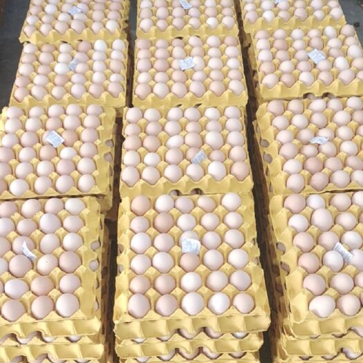 武汉360枚新阳黑土鸡蛋34-35斤净重，湖北武汉发货，可发整车