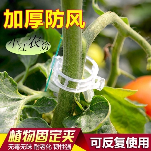崇义县植物瓜果植物夹塑料绑蔓夹绑枝夹吊蔓夹扶蔓夹西红柿夹藤蔓固定夹