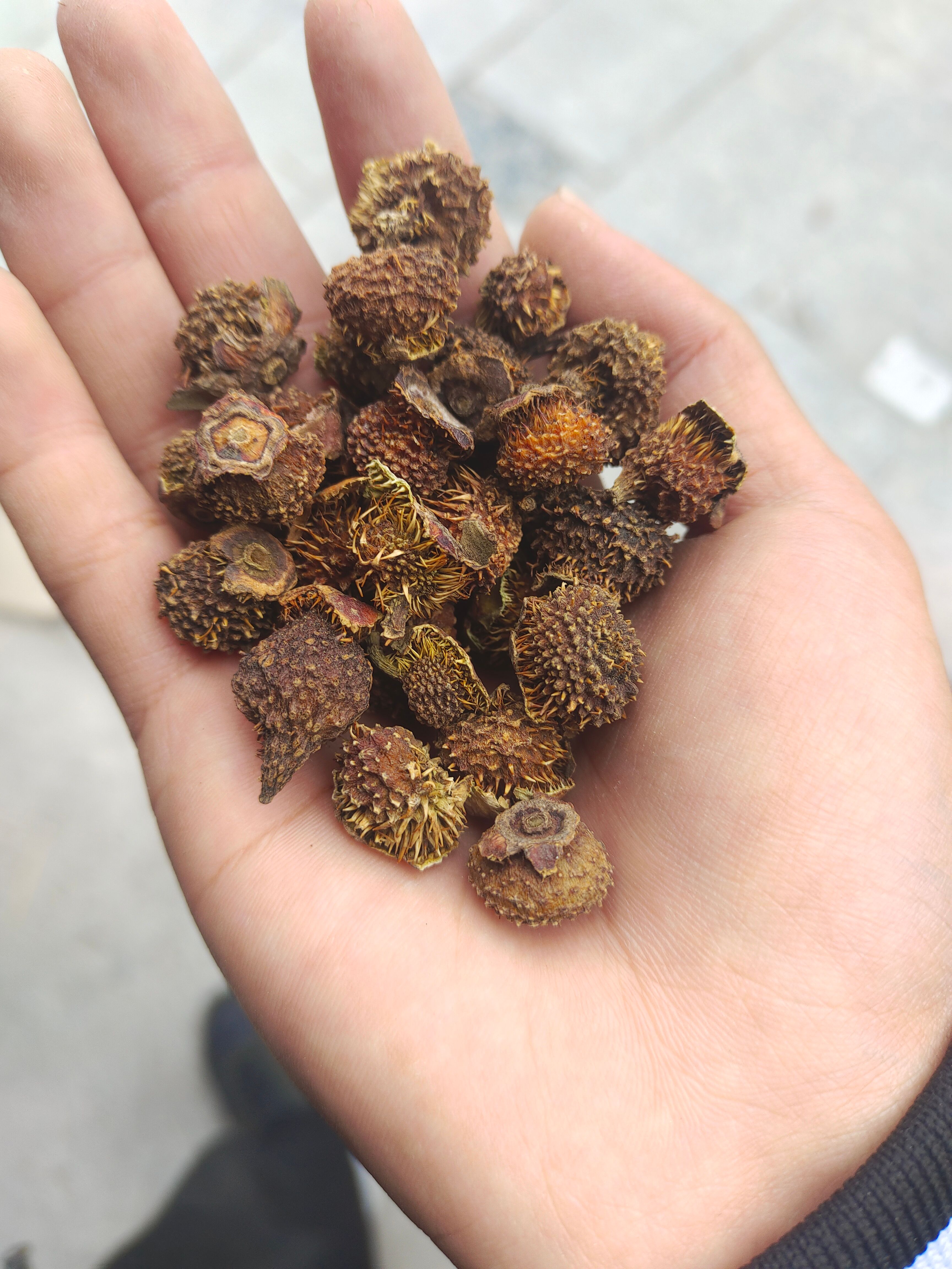 刺梨干果