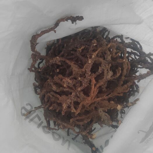 湘潭九节石菖蒲