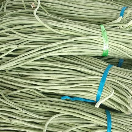 莘县精品长豆角