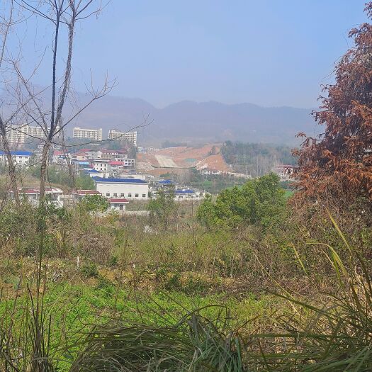 涟源市50亩旱地出租或合作离城区5公里