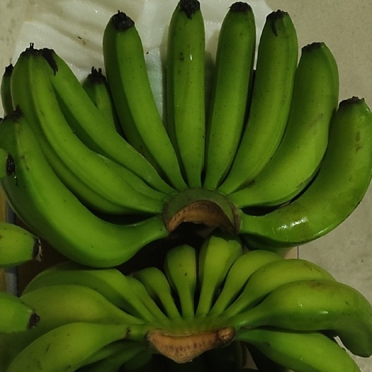 保定香蕉  软糯香甜