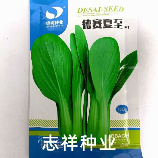 华容县菜农专用夏至青梗菜籽种子F1 耐热直立型小青菜油菜四季蔬菜籽