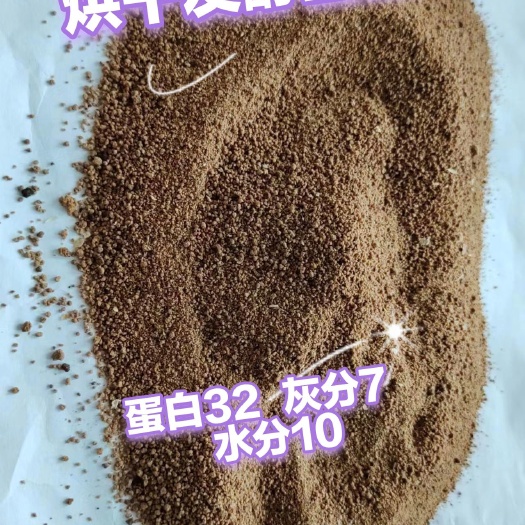 石家庄烘干发酵豆渣