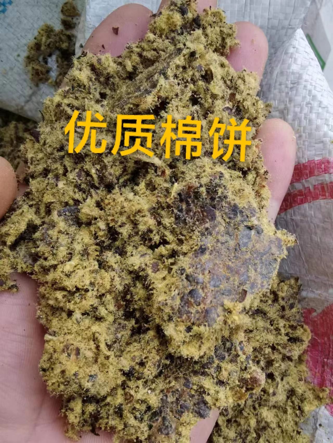 全脂棉籽饼