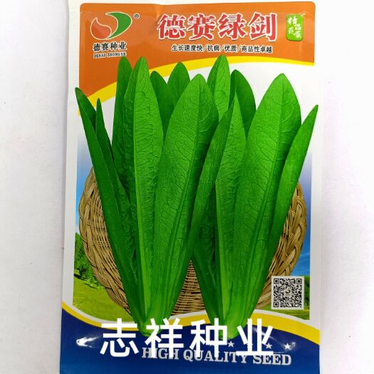 华容县四季种植德赛绿剑尖叶油麦菜种子耐热耐寒 优质无斑油麦菜籽
