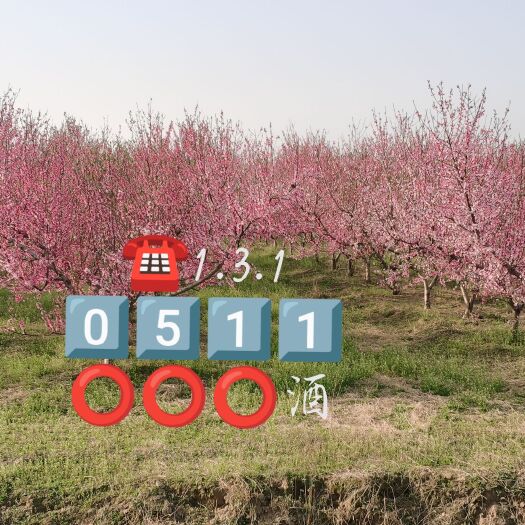 滕州市转让50亩沙土地（包含50万斤地瓜窖，房屋7间）