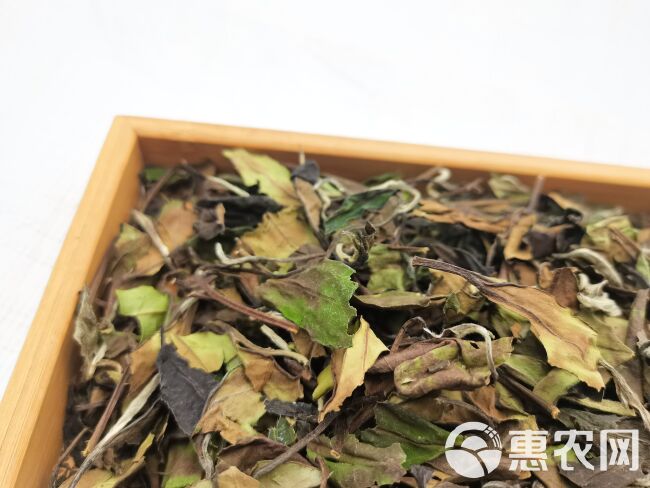 福鼎白茶2020高山寿眉 老白茶散茶 太姥山品质口粮茶叶