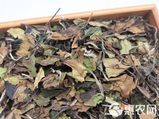 福鼎白茶2020高山寿眉 老白茶散茶 太姥山品质口粮茶叶