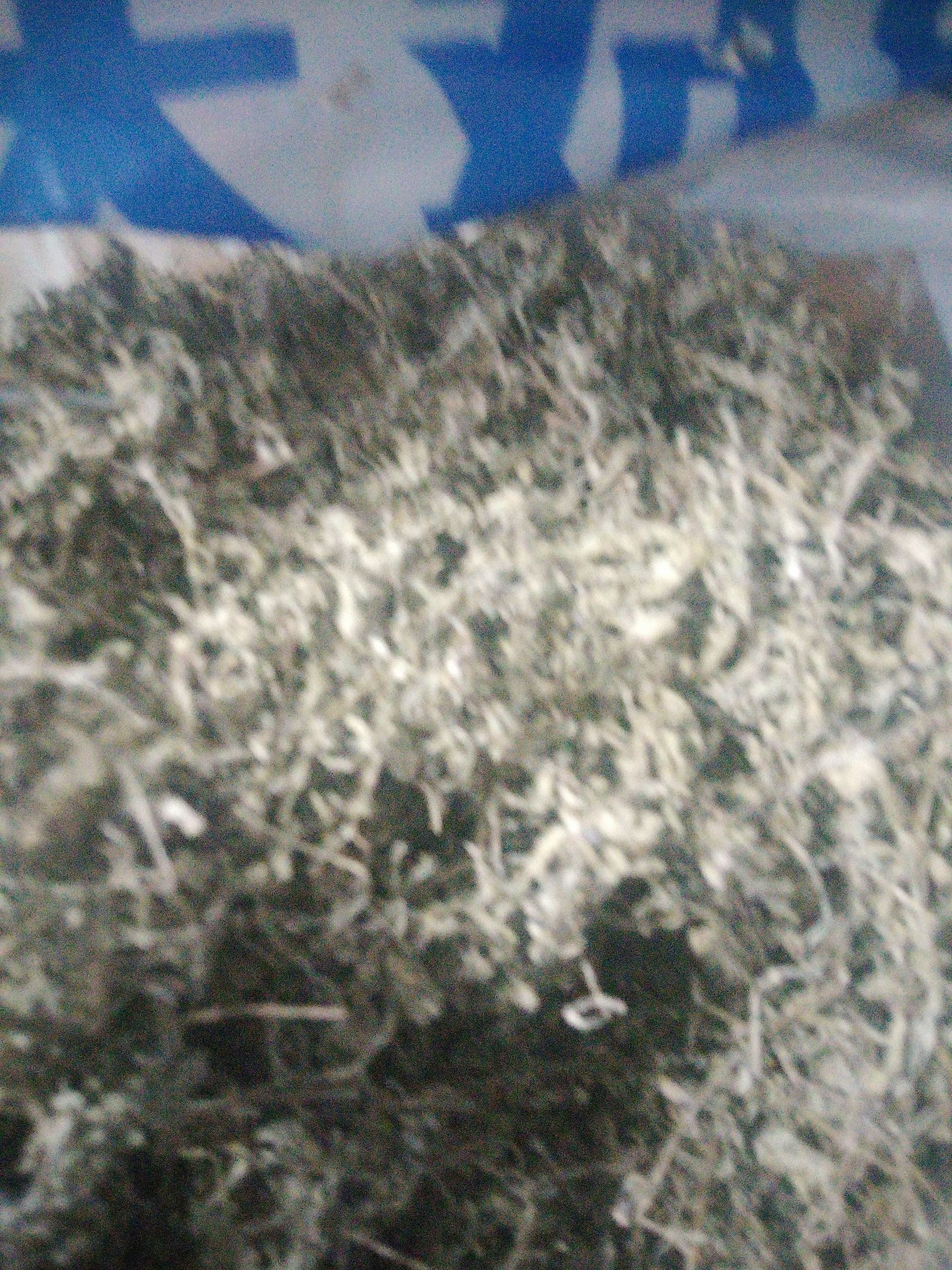 藤茶，衡东藤茶，入口虽苦回味甘甜，细茶，嫩茶，去年货。