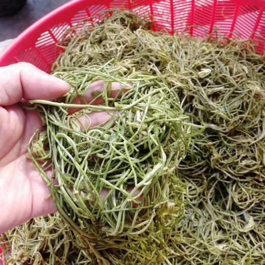 安庆野生菱角菜