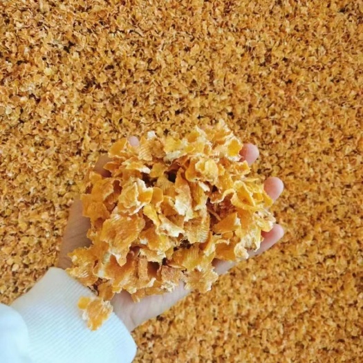 石家庄压片玉米