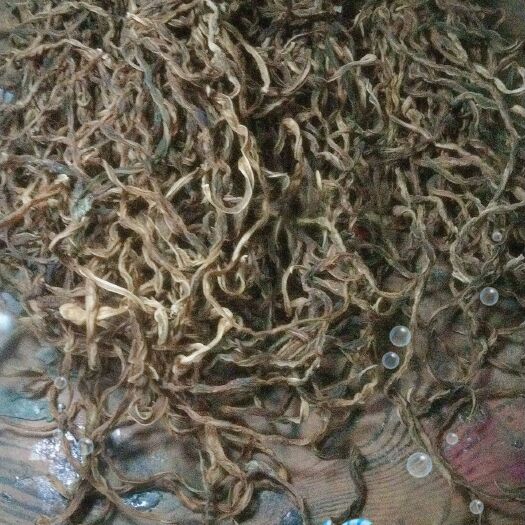 去年干豆角，干豆角炒肉，水泡一下炒着吃，本人农村收获。