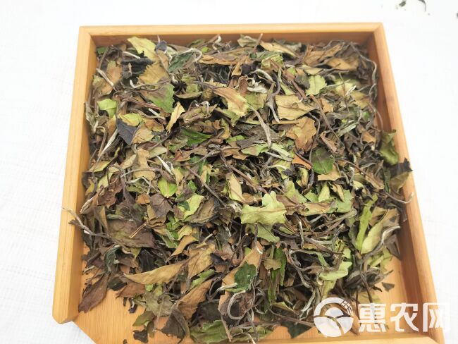 福鼎白茶2020高山寿眉 老白茶散茶 太姥山品质口粮茶叶