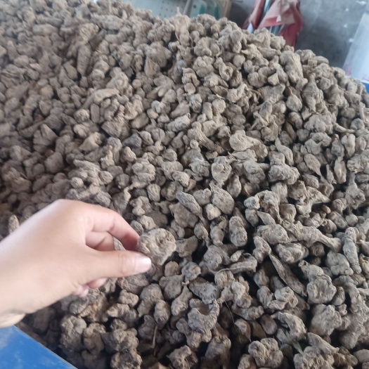 杞县洋姜洋姜干洋姜