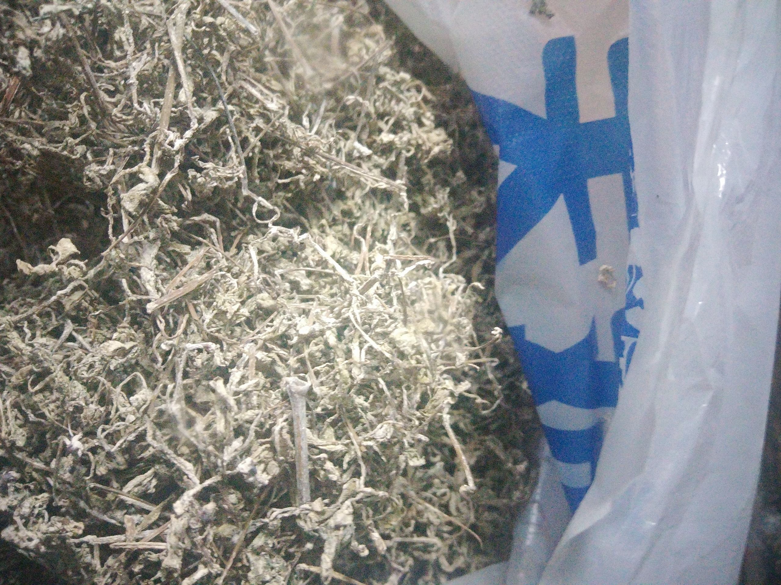 藤茶，衡东藤茶，入口虽苦回味甘甜，细茶，嫩茶，去年货。