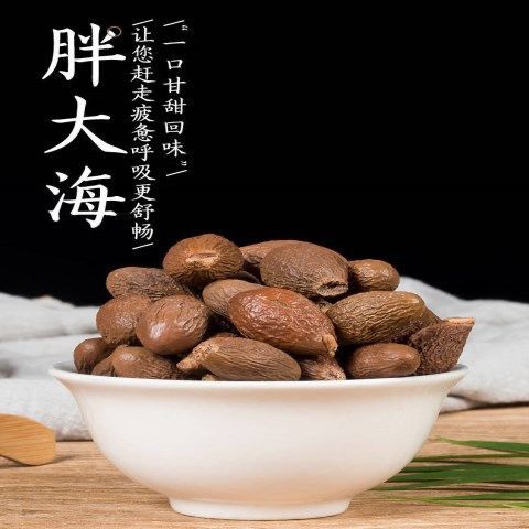 兰州【胖大海】胖大海 咽喉伴侣 精选大果 清润喉咙