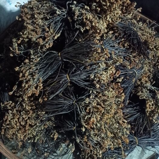 维西县蕨菜（龙爪菜）
